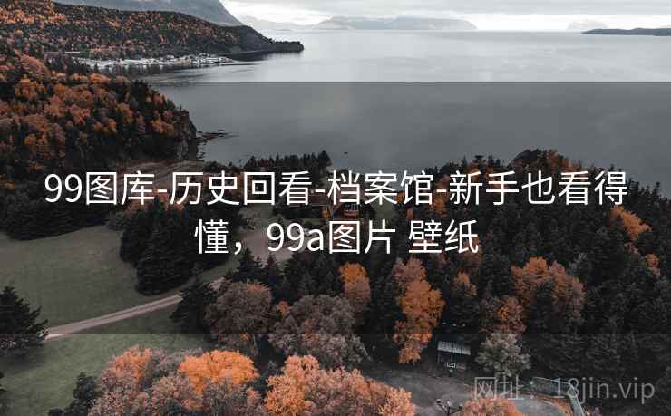 99图库-历史回看-档案馆-新手也看得懂，99a图片 壁纸  第1张